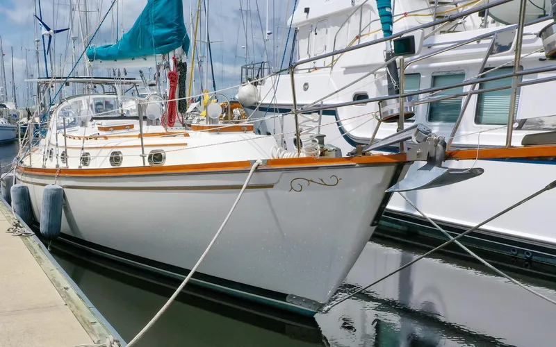 The Image of Shannon 43 - Tammie Norrie - 0