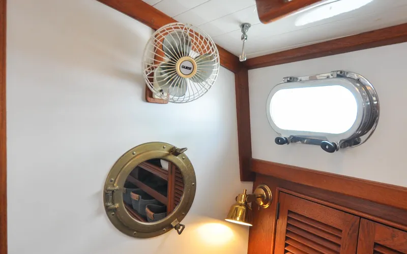 Slide: The Image of Shannon 43 - Tammie Norrie - 116