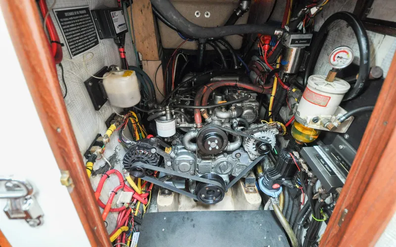 Slide: The Image of Shannon 43 - Tammie Norrie - 132