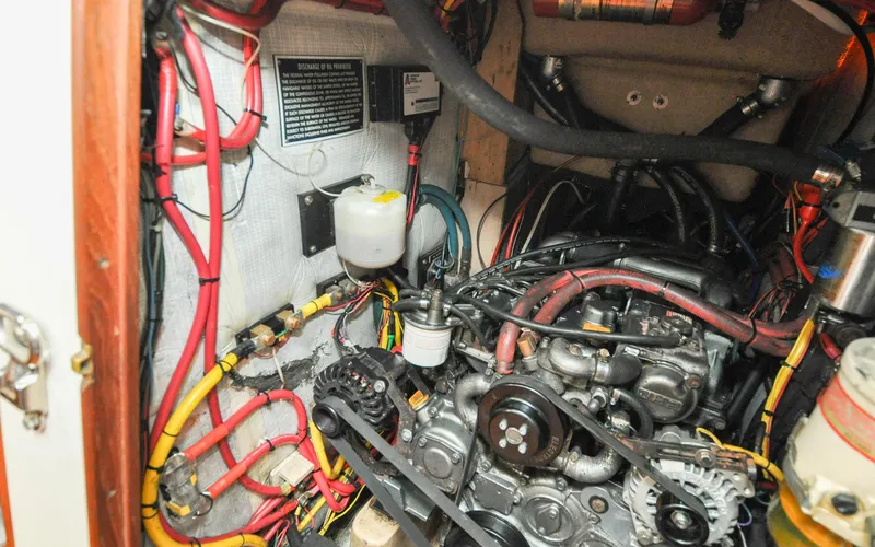 Slide: The Image of Shannon 43 - Tammie Norrie - 133