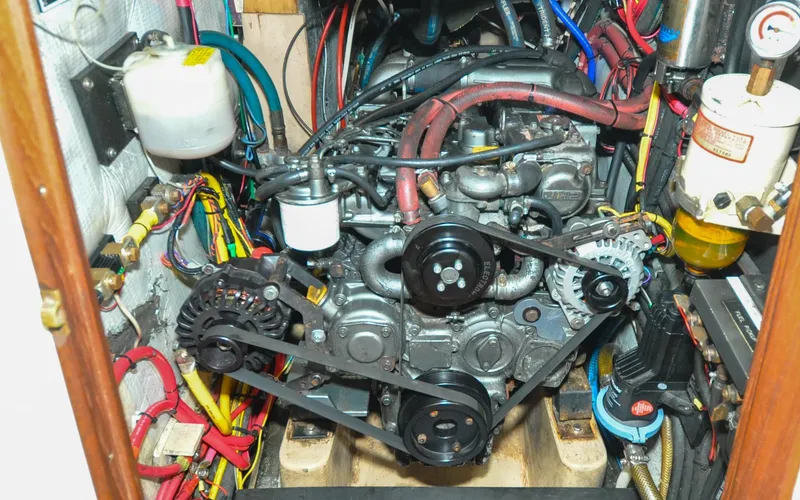 Slide: The Image of Shannon 43 - Tammie Norrie - 134