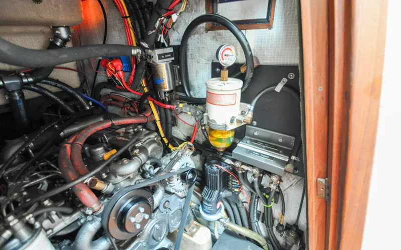 Slide: The Image of Shannon 43 - Tammie Norrie - 135