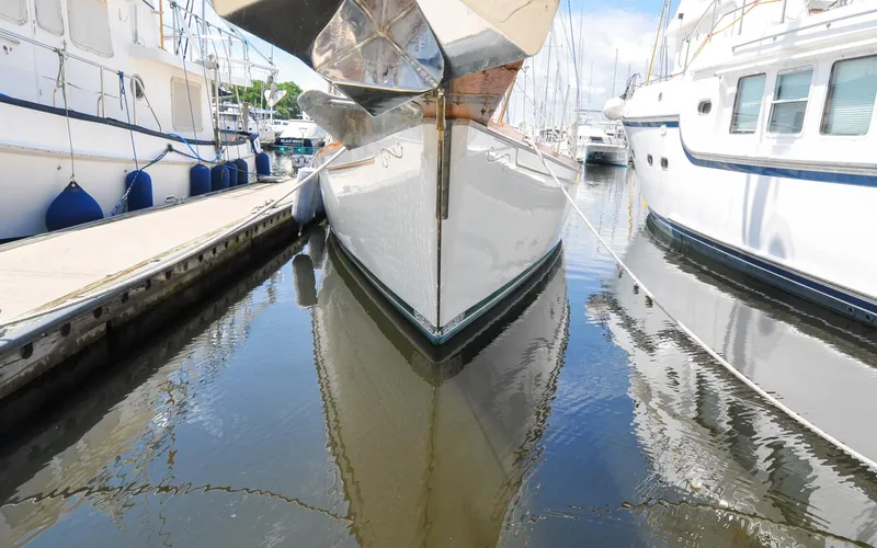 Slide: The Image of Shannon 43 - Tammie Norrie - 2