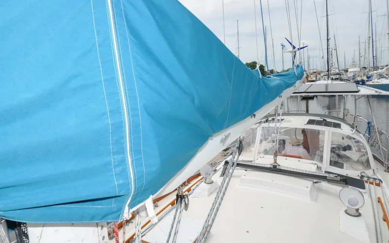 Slide: The Image of Shannon 43 - Tammie Norrie - 58