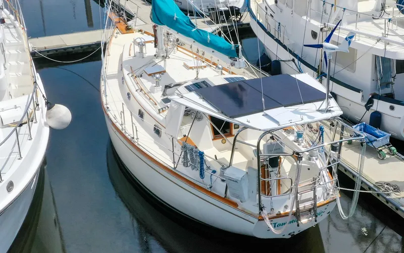 Slide: The Image of Shannon 43 - Tammie Norrie - 6