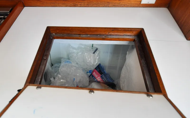 Slide: The Image of Shannon 43 - Tammie Norrie - 99