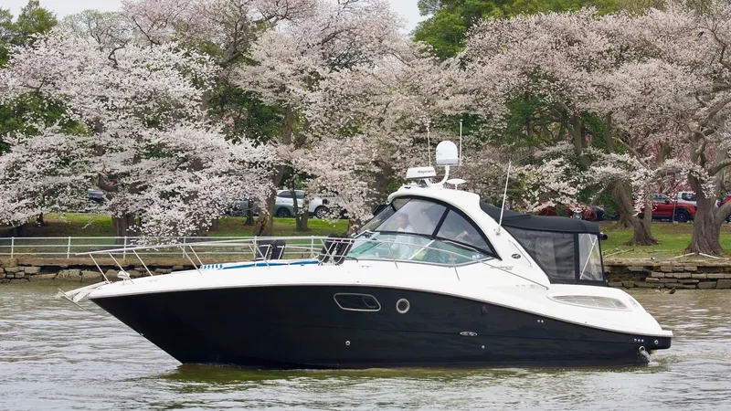 The Image of 2011 Sea Ray 350 Sundancer yacht cruising near blooming cherry blossom trees. - 0