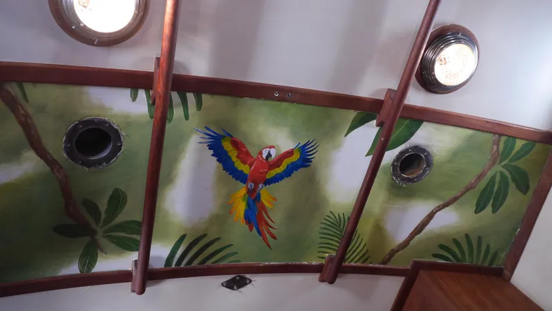 Slide: The Image of Ceiling mural of a colorful parrot on a 1979 Tayana 37 sailboat. - 42