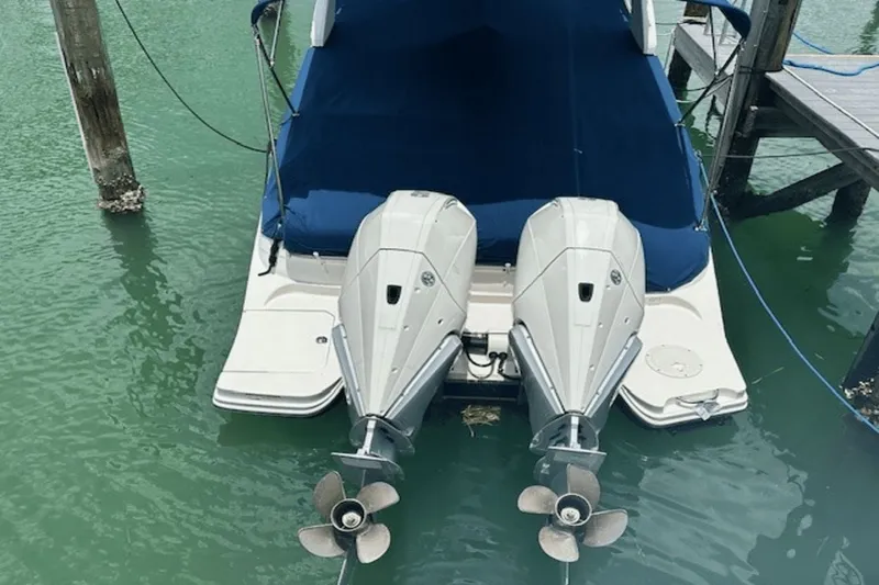 Slide: The Image of Sea Ray SDX 290 Outboard 2019 - 13