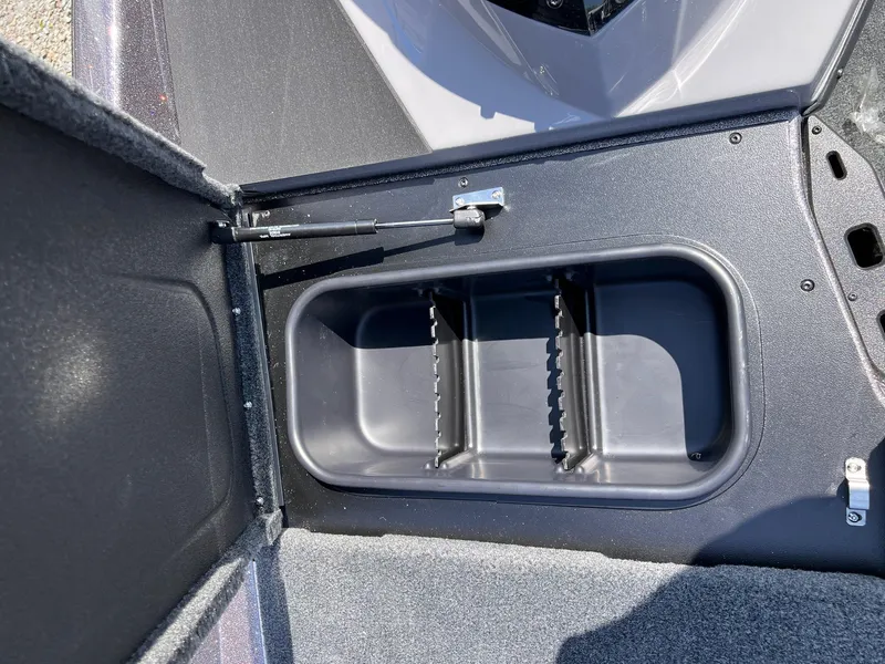 Slide: The Image of Skeeter ZXR21 2025 - 38