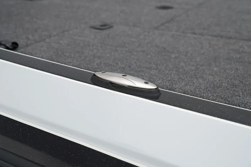 Slide: The Image of Ranger Z519R Cup-Equipped 2025 - 40