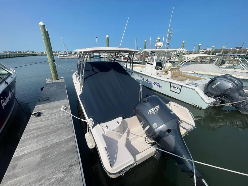 Slide: The Image of Grady-White Freedom 255 2014 - 51