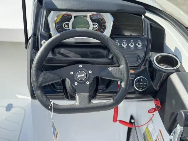 Slide: The Image of Scarab 195 ID 2024 - 12