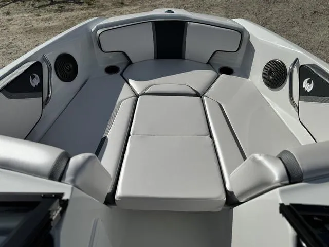 Slide: The Image of Scarab 195 ID 2024 - 16