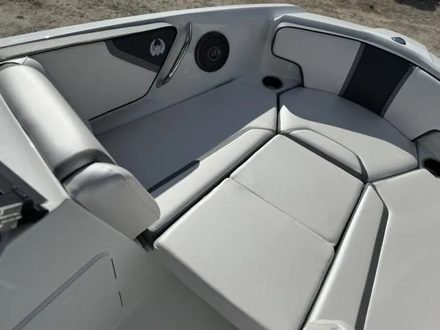 Slide: The Image of Scarab 195 ID 2024 - 17