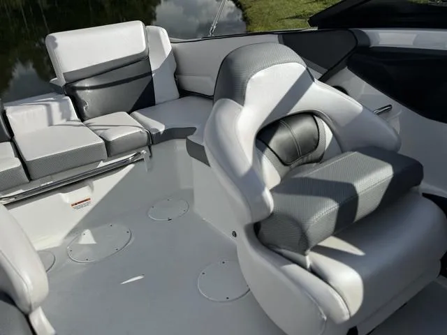 Slide: The Image of Scarab 195 ID 2024 - 21