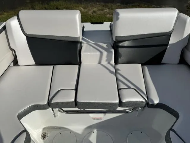 Slide: The Image of Scarab 195 ID 2024 - 22