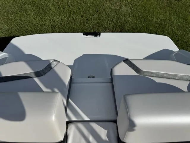 Slide: The Image of Scarab 195 ID 2024 - 24