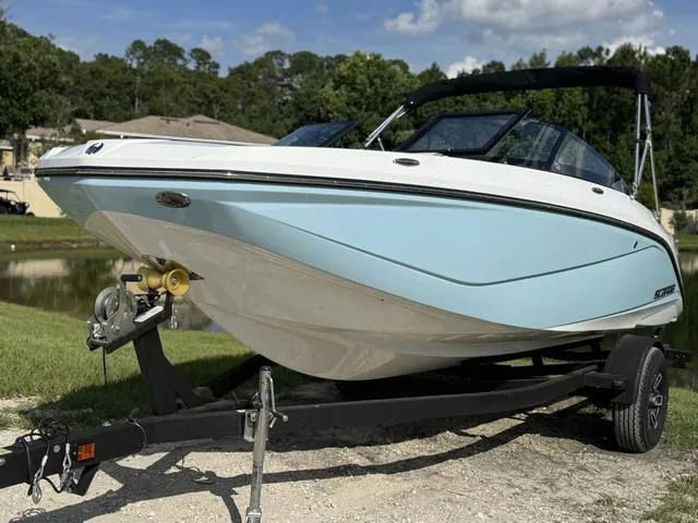 Slide: The Image of Scarab 195 ID 2024 - 3