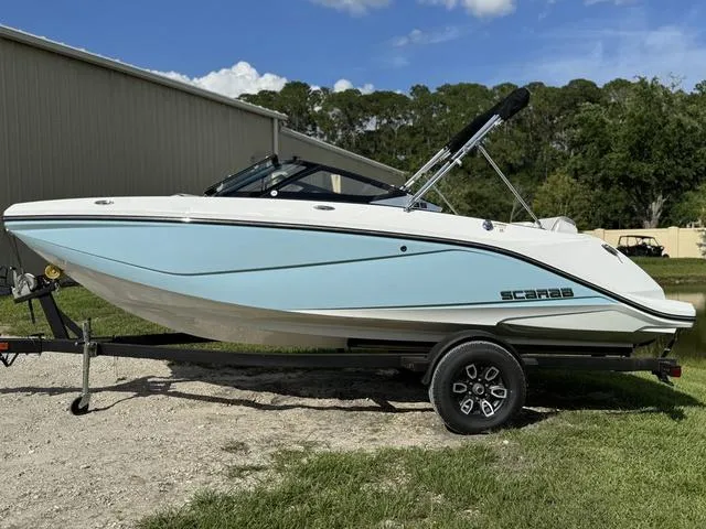 Slide: The Image of Scarab 195 ID 2024 - 4