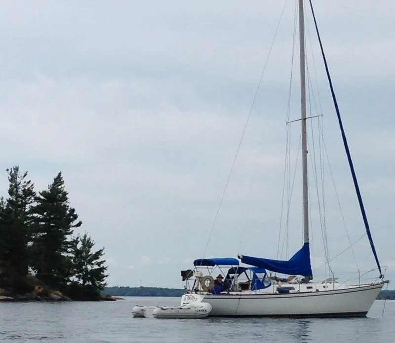 The Image of Profile - 0