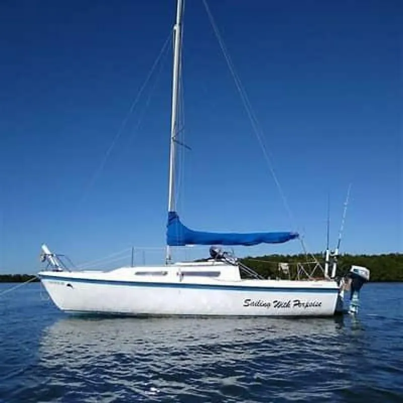 The Image of Sailboat Catalina Capri 26 Wing Keel 1990 on calm water under clear blue sky. - 1