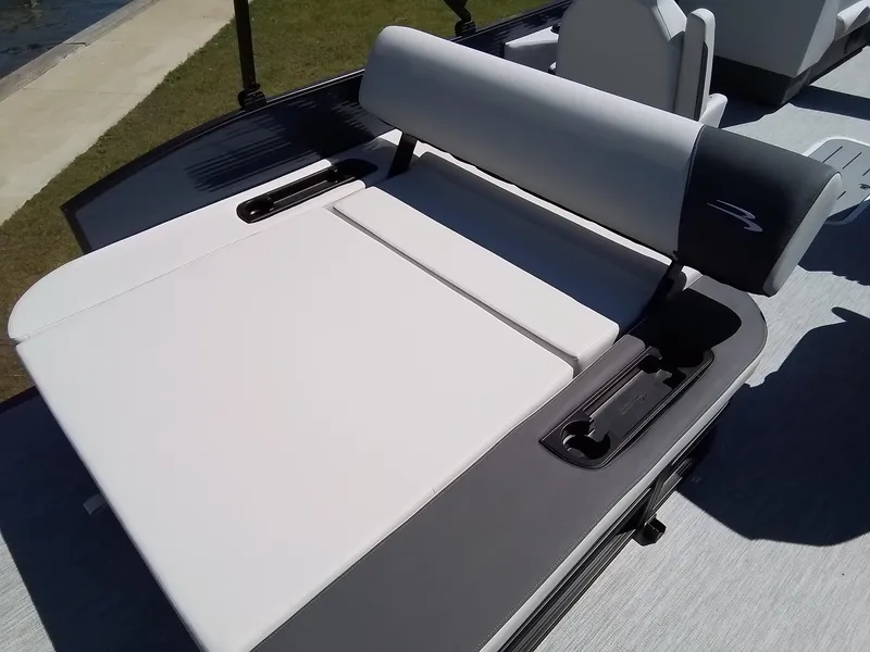 Slide: The Image of Bennington 22SSBSE 2025 - 32