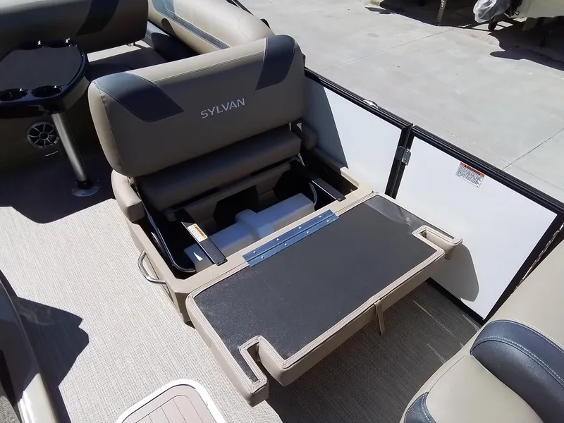 Slide: The Image of Sylvan L-3 CLZ 2025 - 22