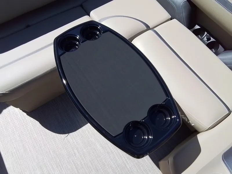 Slide: The Image of Sylvan L-3 CLZ 2025 - 35