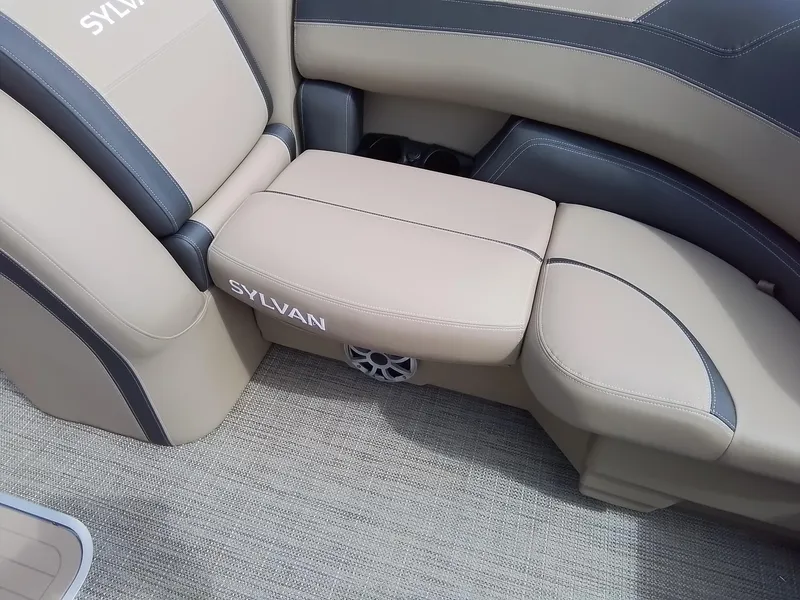 Slide: The Image of Sylvan L-3 CLZ 2025 - 17