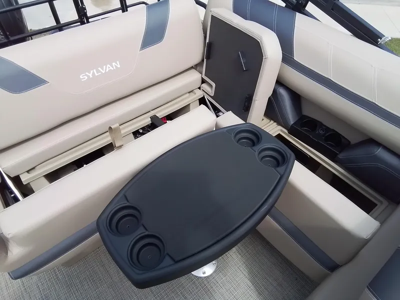 Slide: The Image of Sylvan L-3 CLZ 2025 - 35