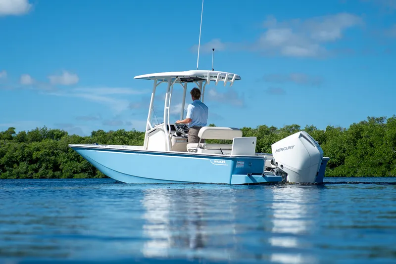 Slide: The Image of Boston Whaler 210 Montauk 2026 - 1