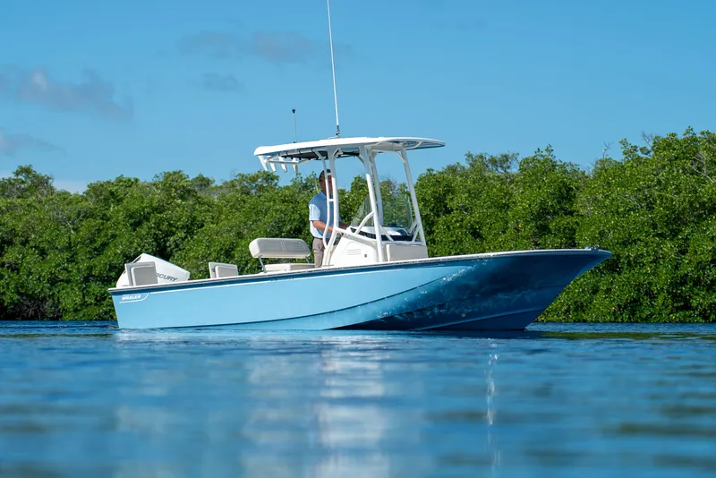 Slide: The Image of Boston Whaler 210 Montauk 2026 - 20