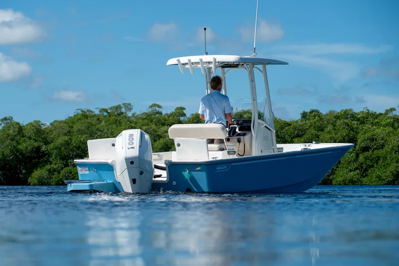 Slide: The Image of Boston Whaler 210 Montauk 2026 - 22