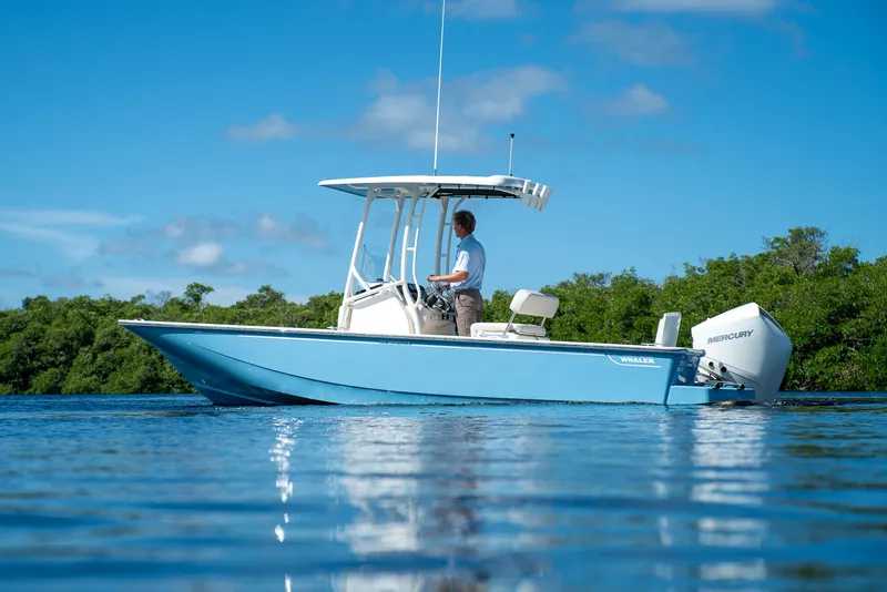 Slide: The Image of Boston Whaler 210 Montauk 2026 - 25