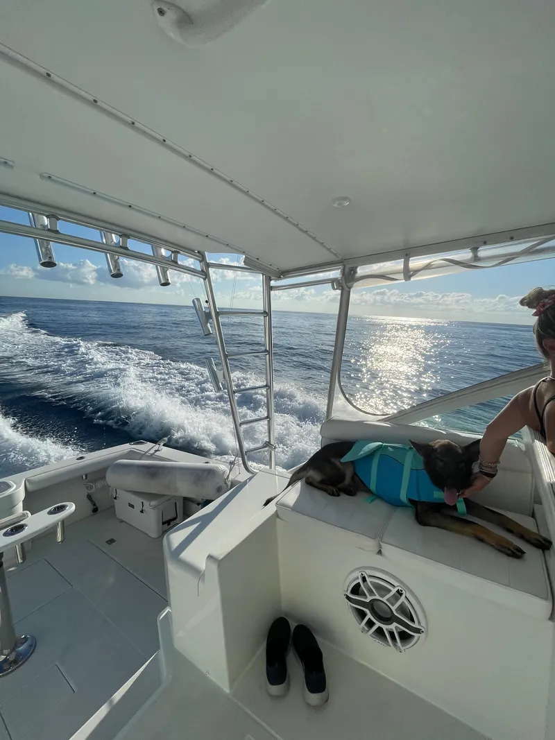 Slide: The Image of 2001 Cabo 35 Express boat cruising with dog in life jacket on deck. - 7