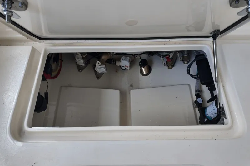 Slide: The Image of Scout 240 Dorado 2026 - 7