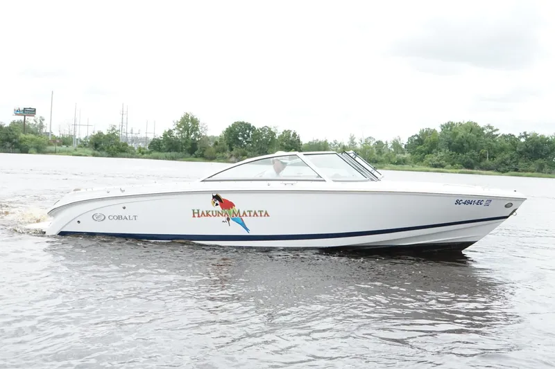 The Image of 2018 Cobalt 220S boat on water, featuring "Hakuna Matata" and parrot graphic. - 0