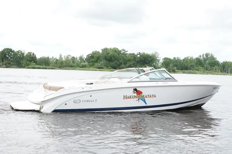 Slide: The Image of 2018 Cobalt 220S boat on water, featuring "Hakuna Matata" design. - 15