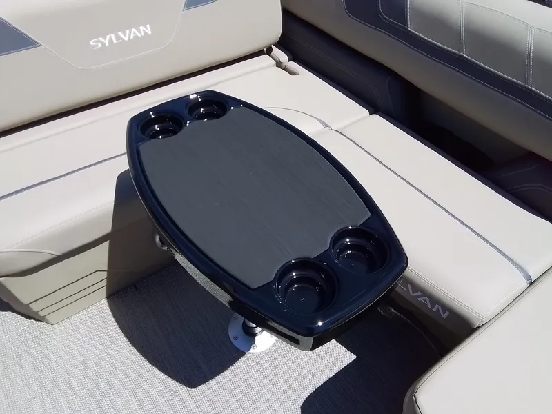 Slide: The Image of Sylvan L-3 CLZ 2025 - 30