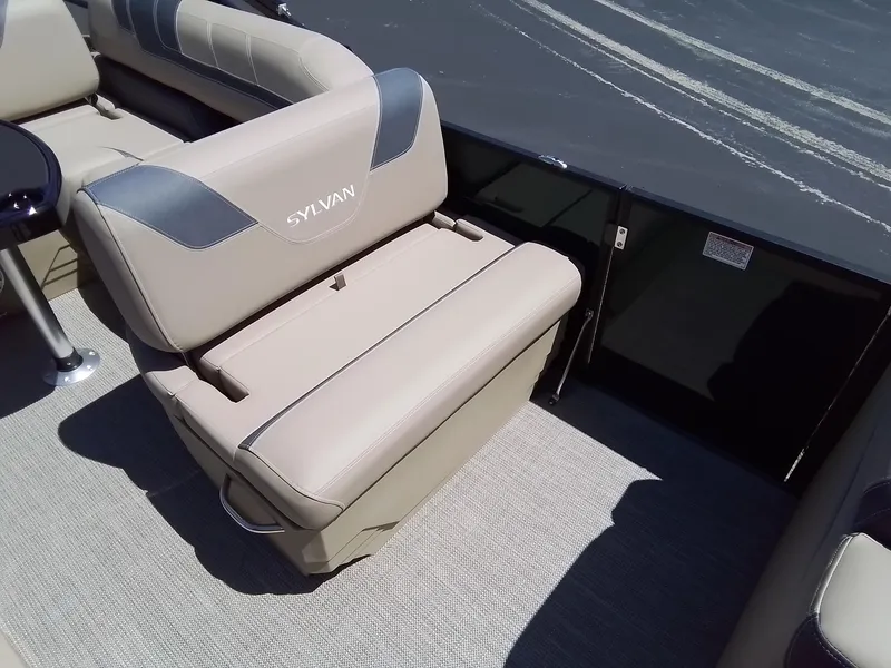 Slide: The Image of Sylvan L-3 CLZ 2025 - 31