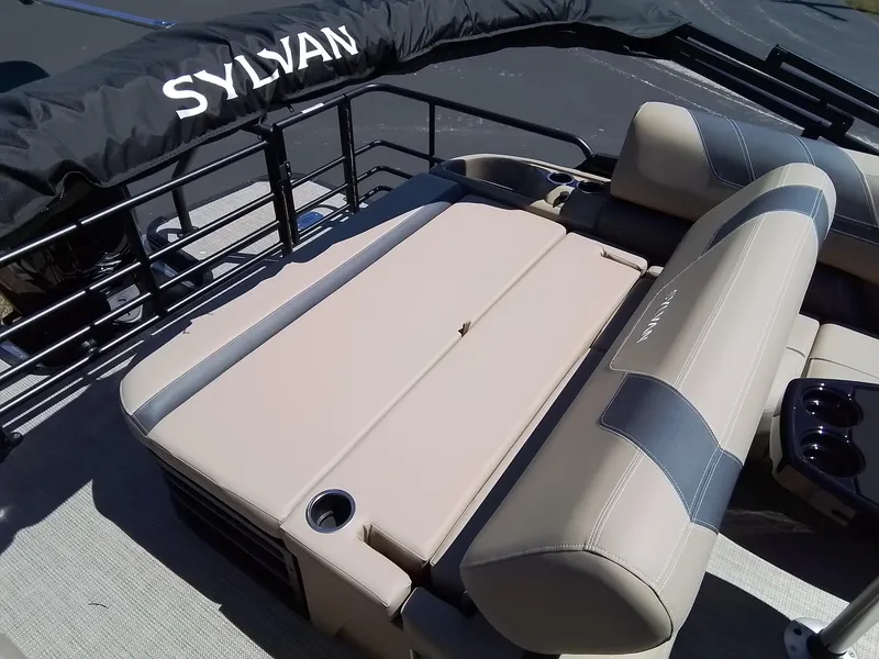 Slide: The Image of Sylvan L-3 CLZ 2025 - 35