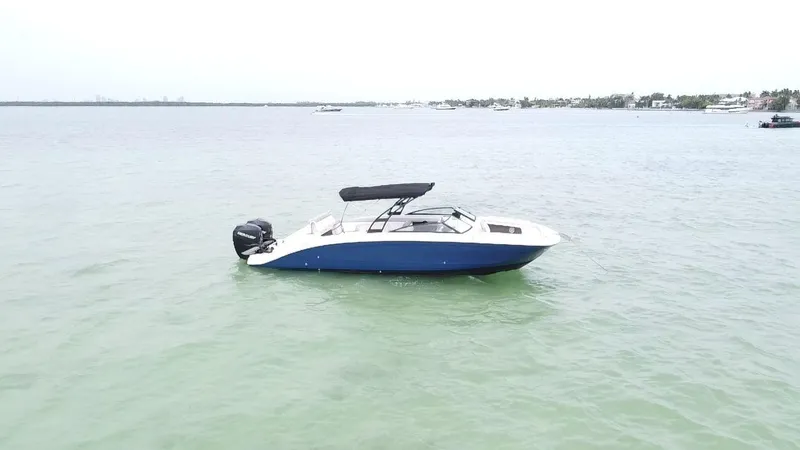The Image of 2017 Sea Ray SDX 290 Outboard boat on calm water, side view. - 0