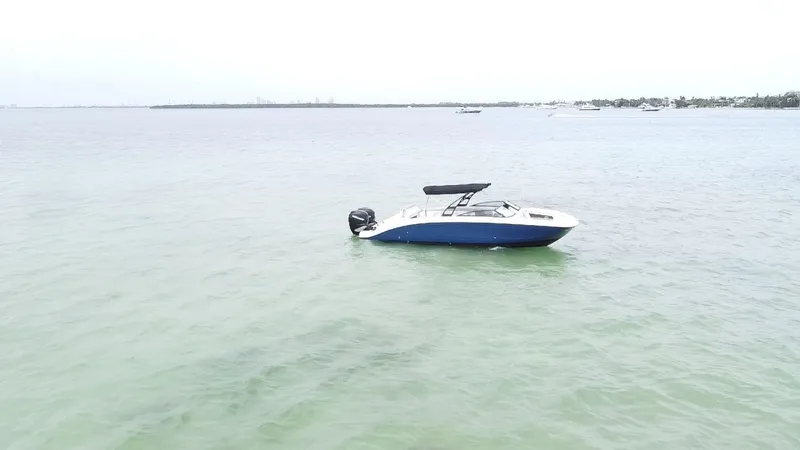 Slide: The Image of 2017 Sea Ray SDX 290 Outboard boat on calm water, distant shoreline. - 21