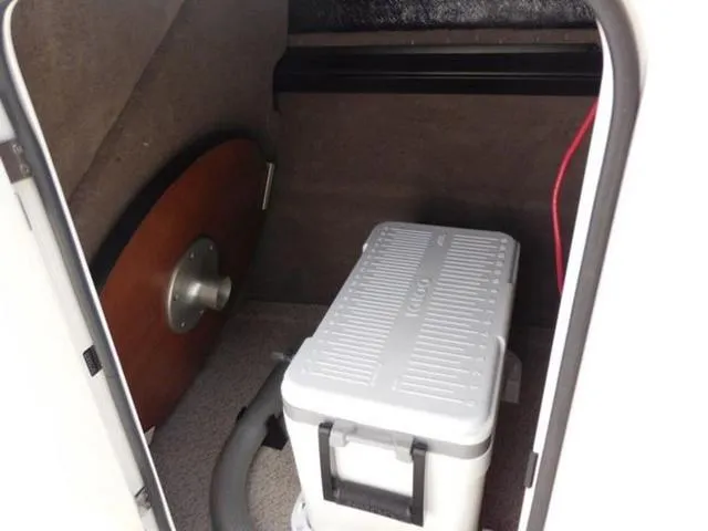 Slide: The Image of Stingray 211 DC 2024 - 9