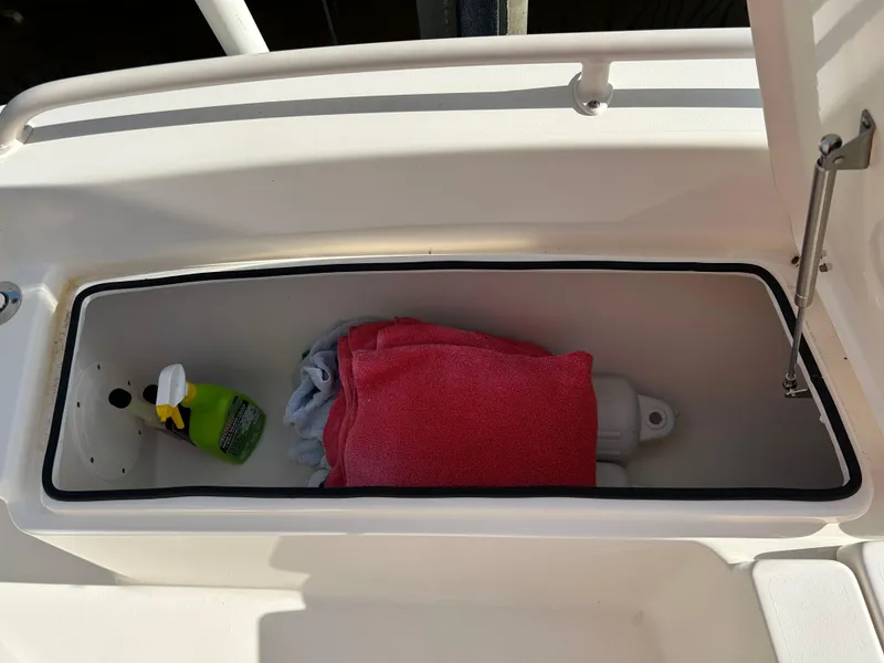 Slide: The Image of Storage compartment on 2019 Pathfinder 2200 CC boat with cleaning supplies and towel. - 16