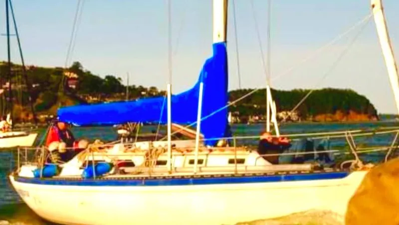 The Image of 1978 Islander Sloop 36 sailing on open sea with clear skies. - 0