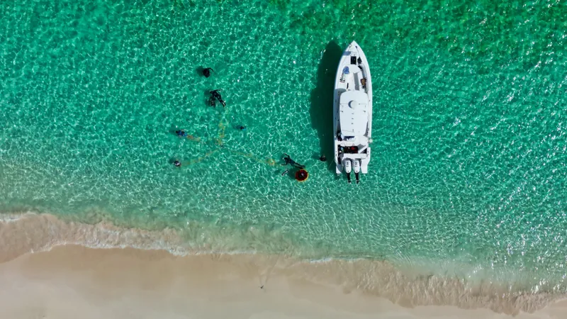 Slide: The Image of Horizon 95 2007 - 51