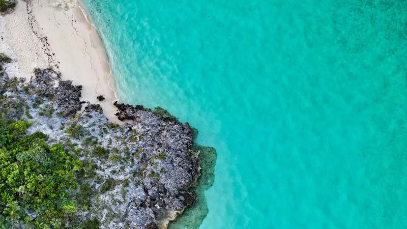 Slide: The Image of Horizon 95 2007 - 52