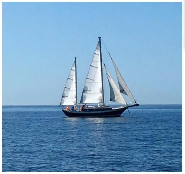 The Image of 1974 Cheoy Lee Clipper Ketch sailing on calm blue ocean waters. - 0